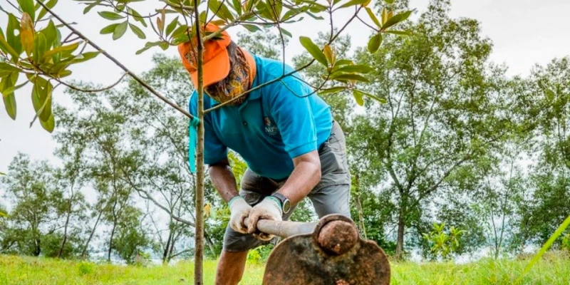 Habitat Enhancement at Kranji Coastal Nature Park